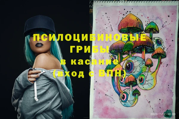 дмт Иннополис