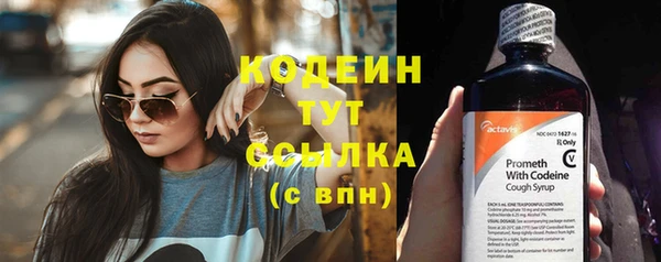 молекула духа Инсар