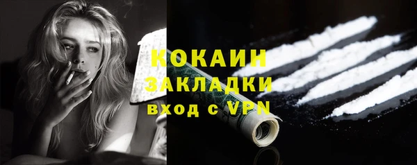 молекула духа Инсар