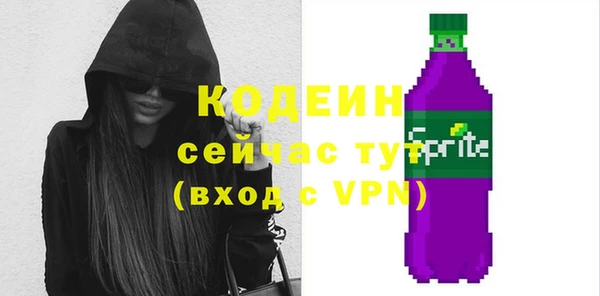 молекула духа Инсар