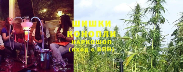 молекула духа Инсар