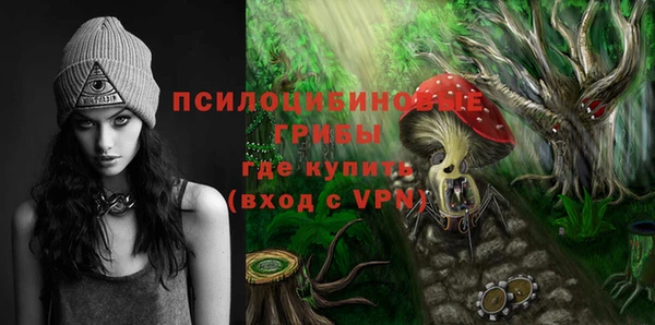 молекула духа Инсар