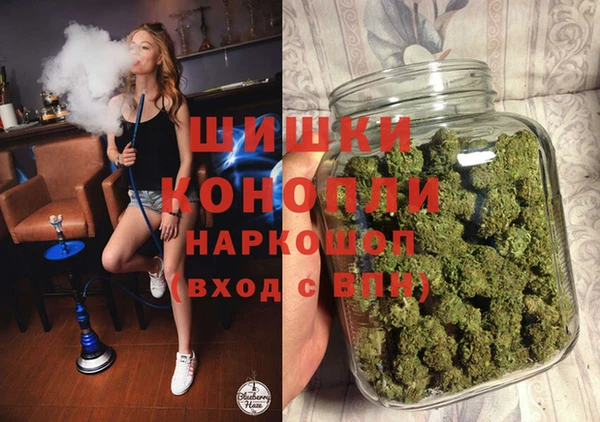 молекула духа Инсар