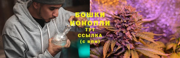 молекула духа Инсар